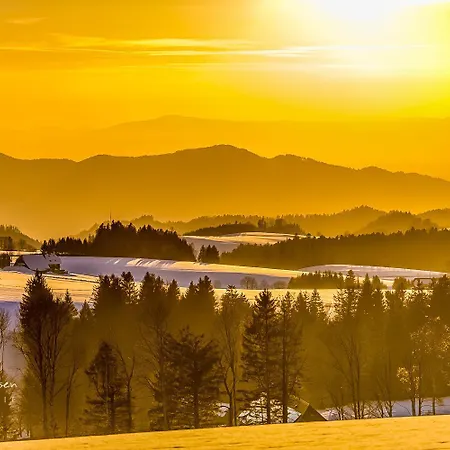Apartment 19 - Ferienresidenz Roseneck, Mit Schwimmbad In Bei Feldberg