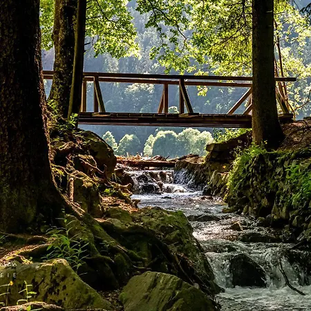 Apartment 19 - Ferienresidenz Roseneck, Mit Schwimmbad In Bei Feldberg *