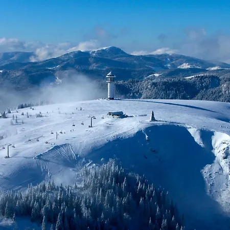 Apartment 19 - Ferienresidenz Roseneck, Mit Schwimmbad In Bei Feldberg Todtnauberg