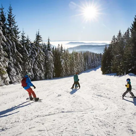 Apartment 19 - Ferienresidenz Roseneck, Mit Schwimmbad In Bei Feldberg