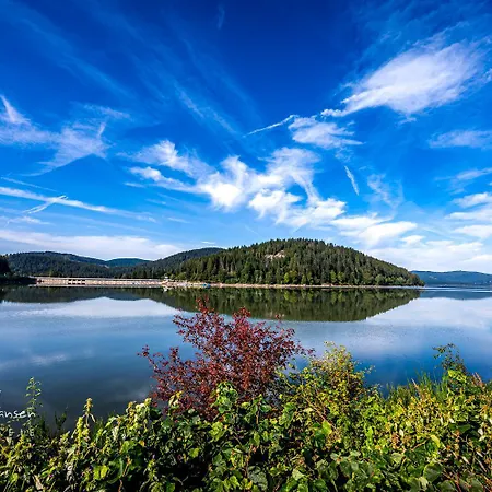 Apartment 19 - Ferienresidenz Roseneck, Mit Schwimmbad In Bei Feldberg Todtnauberg