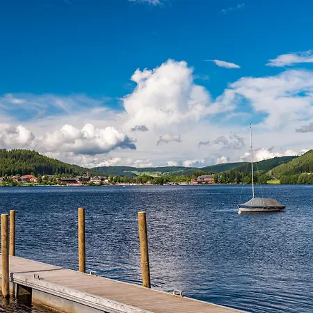 Apartment 19 - Ferienresidenz Roseneck, Mit Schwimmbad In Bei Feldberg Todtnauberg