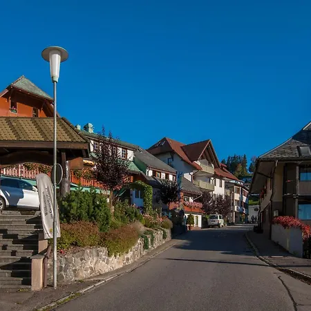 Apartment 19 - Ferienresidenz Roseneck, Mit Schwimmbad In Bei Feldberg
