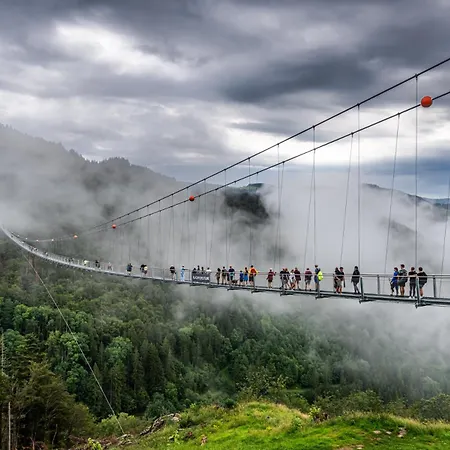 19 - Ferienresidenz Roseneck, Mit Schwimmbad In Bei Feldberg Todtnauberg