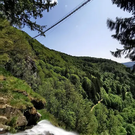 19 - Ferienresidenz Roseneck, Mit Schwimmbad In Bei Feldberg Todtnauberg